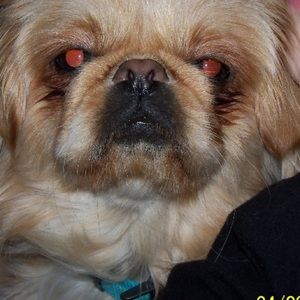 Meet your Posher, Barbara